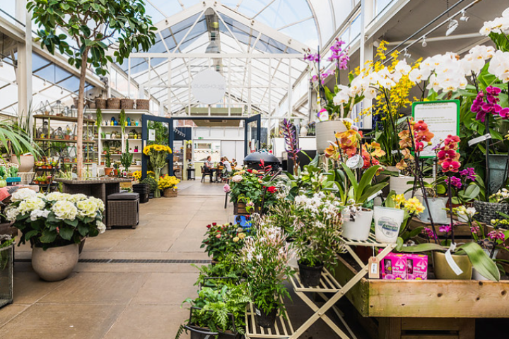 Plant gardening